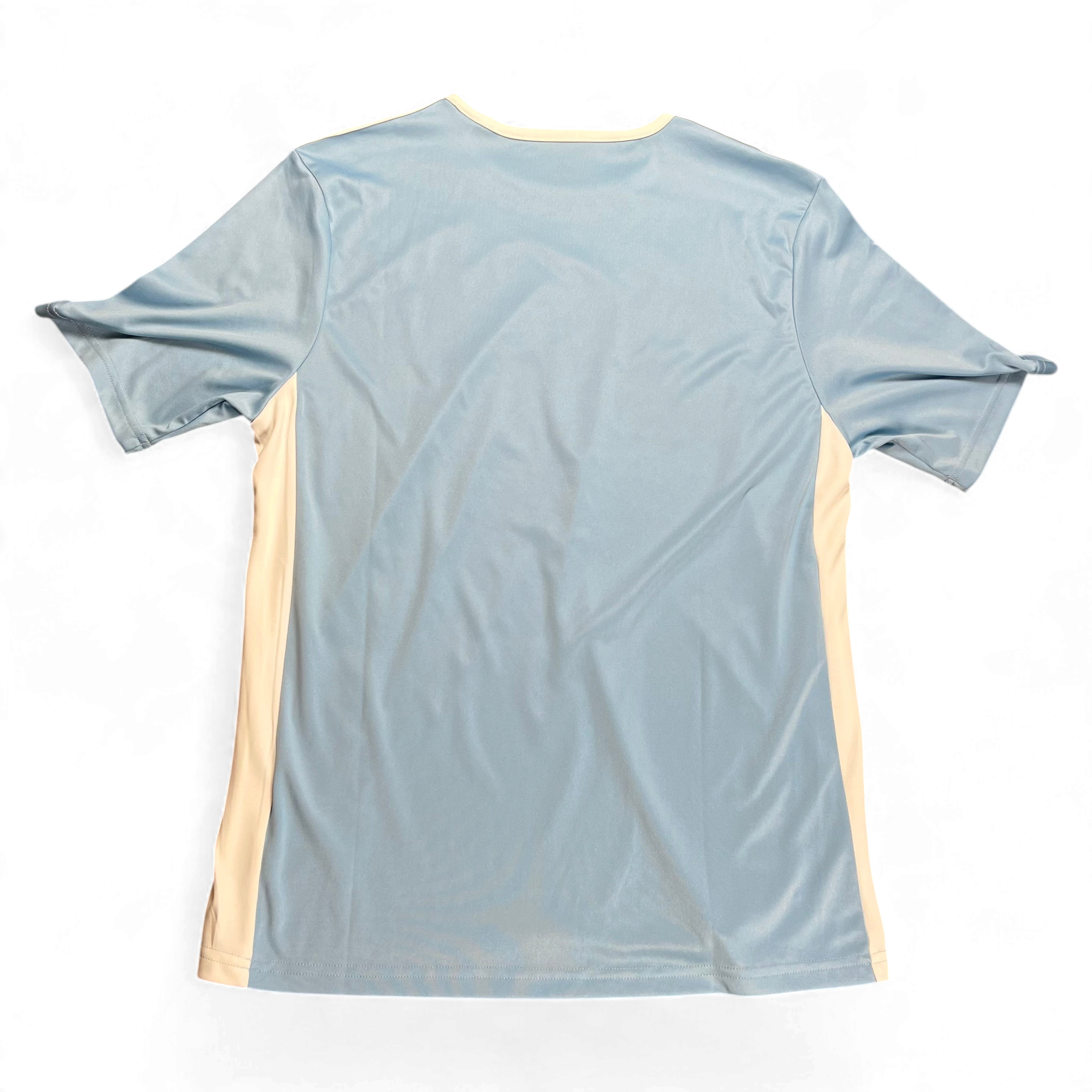 TWC Vintage Adidas Sport-T-Shirt in Babyblau mit weißen Seiteneinsätzen, Rückansicht, Größe M